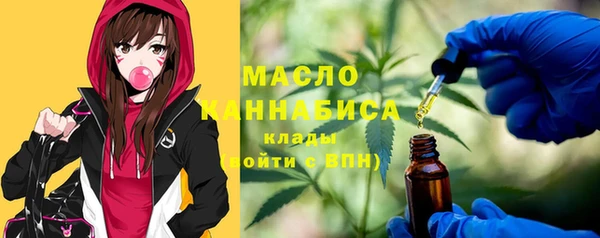ПСИЛОЦИБИНОВЫЕ ГРИБЫ Гусев