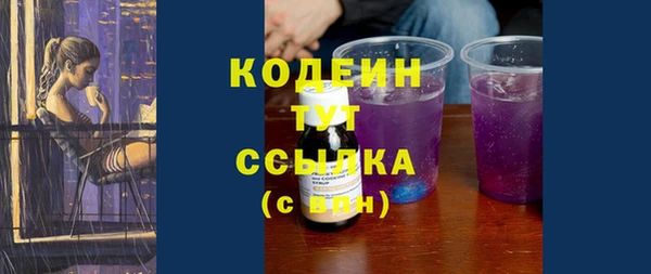 ПСИЛОЦИБИНОВЫЕ ГРИБЫ Гусев