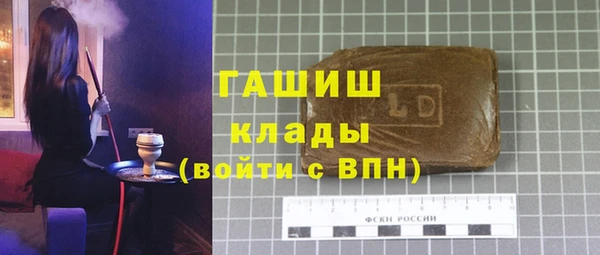 ПСИЛОЦИБИНОВЫЕ ГРИБЫ Гусев