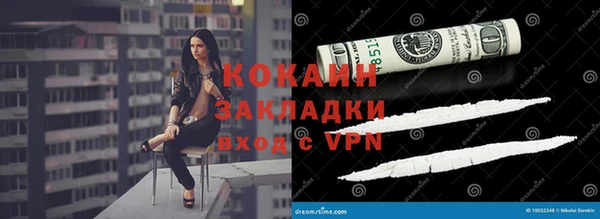 ПСИЛОЦИБИНОВЫЕ ГРИБЫ Гусев