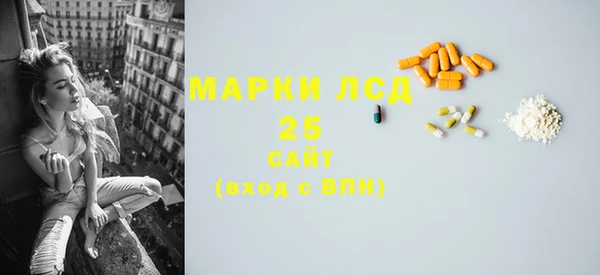 ПСИЛОЦИБИНОВЫЕ ГРИБЫ Гусев