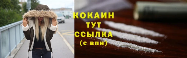 ПСИЛОЦИБИНОВЫЕ ГРИБЫ Гусев