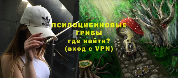 ПСИЛОЦИБИНОВЫЕ ГРИБЫ Гусев