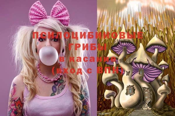 MDMA Гусь-Хрустальный