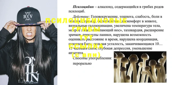 крисы Гусиноозёрск