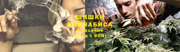 ПСИЛОЦИБИНОВЫЕ ГРИБЫ Гусев
