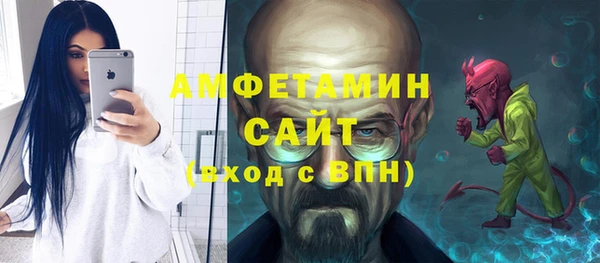 ПСИЛОЦИБИНОВЫЕ ГРИБЫ Гусев